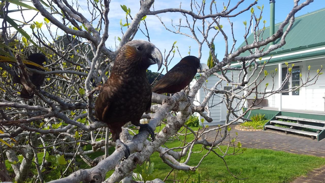 Glenfern Sanctuary Villa Okiwi Dış mekan fotoğraf